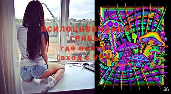 эйфоретик Медвежьегорск