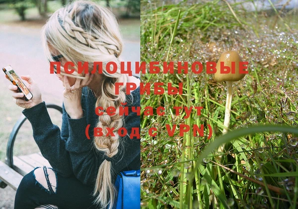 эйфоретик Медвежьегорск